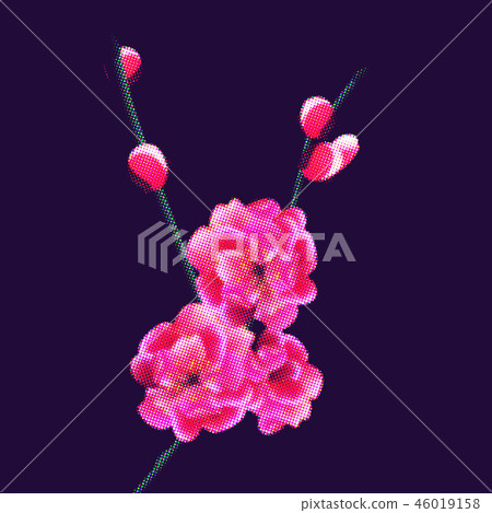 Branch with delicate pink flowers and buds. Sakura points. isolated on dark purple background Branch with delicate pink flowers and buds. Sakura points. isolated on dark purple background 46019158