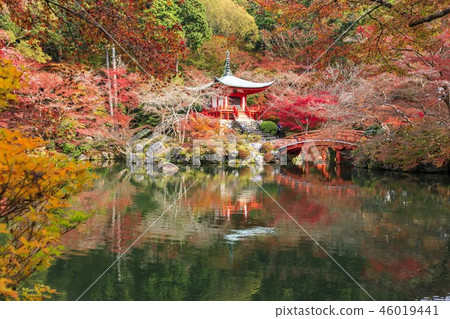 Daigoji秋葉 46019441