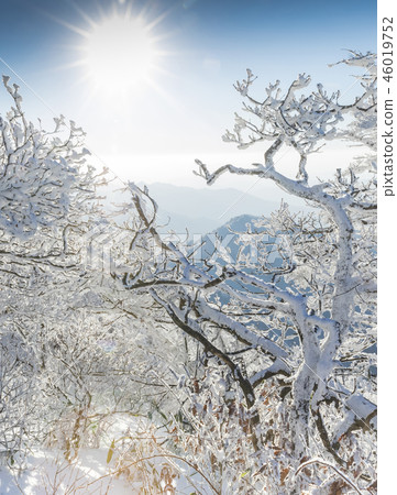 Muju,Deogyusan,雪,冬天,韓國,風景 Muju,Deogyusan,雪,冬天,韓國,風景 46019752