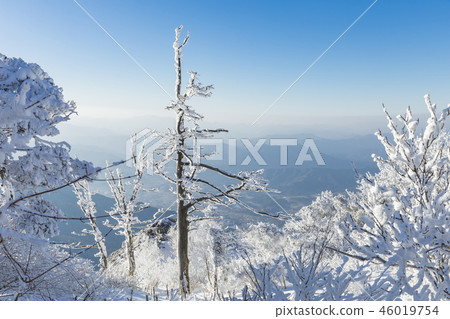 Muju,Deogyusan,雪,冬天,韓國,風景 Muju,Deogyusan,雪,冬天,韓國,風景 46019754