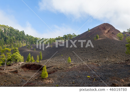 Chinyero hiking path start. Teide national park, Tenerife. Chinyero hiking path start. Teide national park, Tenerife. 46019780