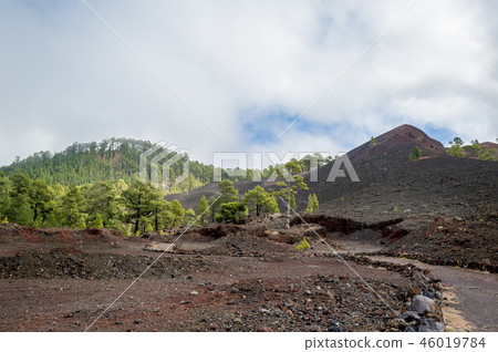 Black volcanic sand hills at Teide national park. Tenerife island. Black volcanic sand hills at Teide national park. Tenerife island. 46019784
