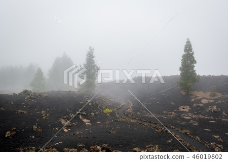Black desert of Chinyero. Teide national park, Tenerife. Black desert of Chinyero. Teide national park, Tenerife. 46019802