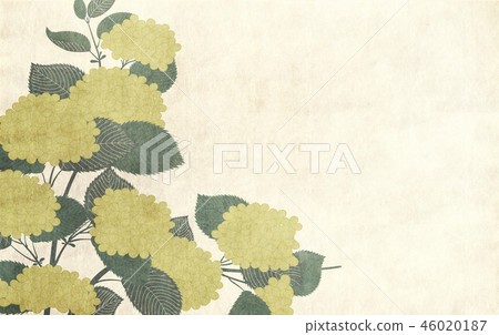 Japanese style background hydrangea 46020187