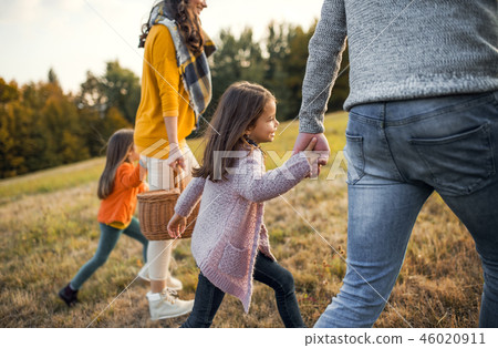 A midsection of young family with two small children walking in autumn nature. A midsection of young family with two small children walking in autumn nature. 46020911