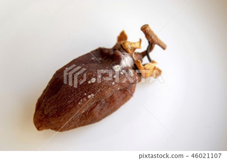 Dried sweet potato with mildew Dried sweet potato with mildew 46021107