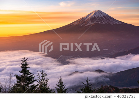 “極好的景色”富士山和雲海,早晨的景色 “極好的景色”富士山和雲海,早晨的景色 46022755