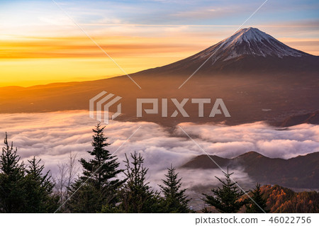 “極好的景色”富士山和雲海,早晨的景色 “極好的景色”富士山和雲海,早晨的景色 46022756