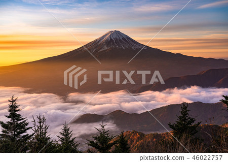 “極好的景色”富士山和雲海,早晨的景色 “極好的景色”富士山和雲海,早晨的景色 46022757