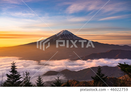 “極好的景色”富士山和雲海,早晨的景色 “極好的景色”富士山和雲海,早晨的景色 46022759
