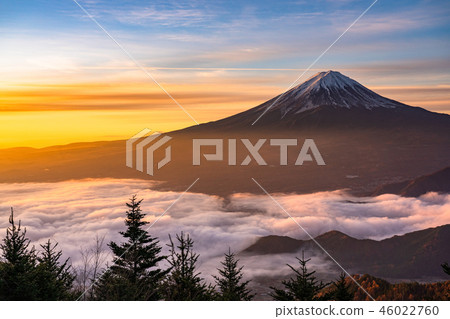 “極好的景色”富士山和雲海,早晨的景色 “極好的景色”富士山和雲海,早晨的景色 46022760