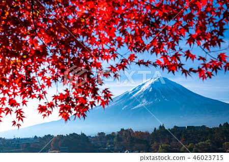 《山梨縣》富士山和秋葉 《山梨縣》富士山和秋葉 46023715
