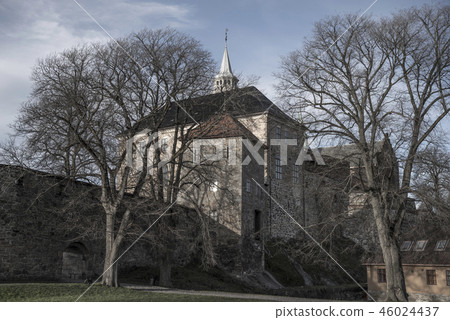 fortress of Akershus - a castle in Oslo 46024437