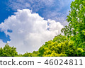 It is scenery of forest trial forest park of Tokyo, fresh green and blue sky. 46024811