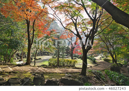 秋葉在Nanasawa森林公園 46027243