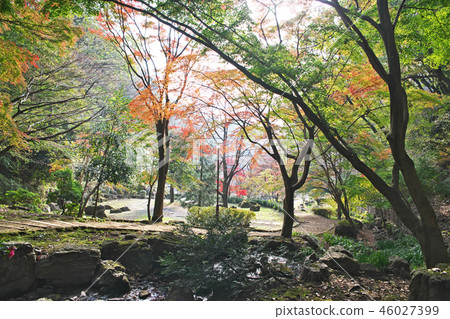 Autumn leaves in Nanasawa Forest Park 46027399