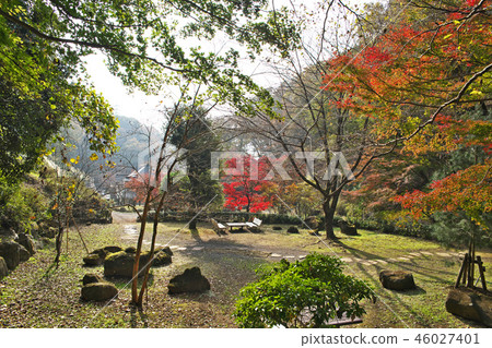 Autumn leaves in Nanasawa Forest Park 46027401