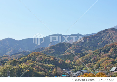 Tanzawa mountain area which began autumn leaves Tanzawa mountain area which began autumn leaves 46027788
