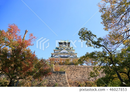 Osaka Castle in Autumn 46027853