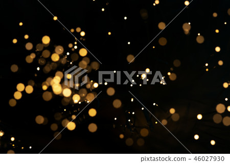 光纖光散景 46027930