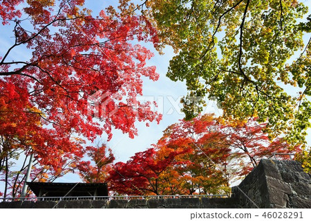 秋天盛岡城堡廢墟公園 46028291