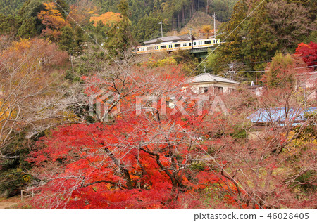 A train on the Ome Line passing near the Sashino Se Bridge 46028405