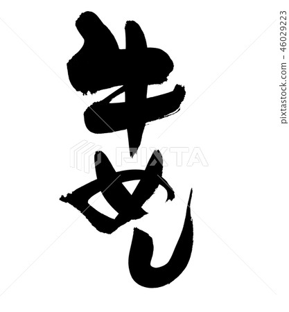 Calligraphy writing 46029223