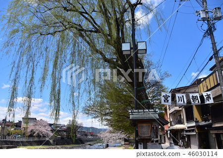 日本岐阜縣高山市春季高山節期間宮川早市的橫幅和購物街宮城的長廊和盛開的櫻花盛開 46030114