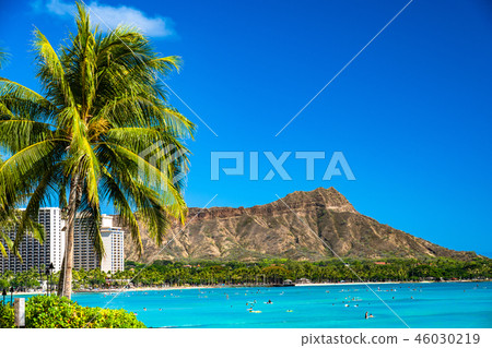 “夏威夷”威基基海灘檀香山 “夏威夷”威基基海灘檀香山 46030219