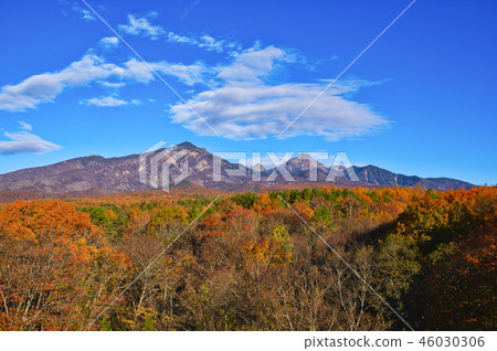 清晨Yatsugatake Yatsugatake從Kai Oizumi的秋季森林 清晨Yatsugatake Yatsugatake從Kai Oizumi的秋季森林 46030306