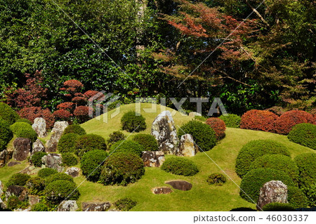 (Shizuoka Prefecture) Ryotanji Garden Autumn leaves (Shizuoka Prefecture) Ryotanji Garden Autumn leaves 46030337
