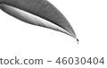 葉子照片 46030404