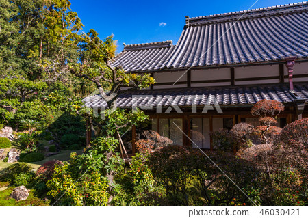 （靜岡縣）龍禪寺 46030421