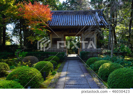 (Shizuoka Prefecture) Ryuzenji Temple 46030423