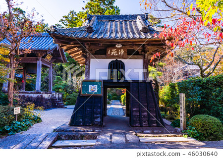 (Shizuoka Prefecture) Ryounji Temple (Londonji) East gate (old bell tower) Autumn leaves 46030640