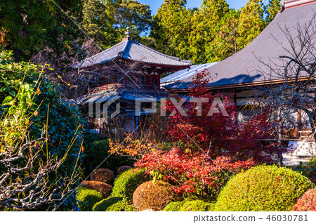 （靜岡縣）Ryotanji大廳Kaizando花園 46030781