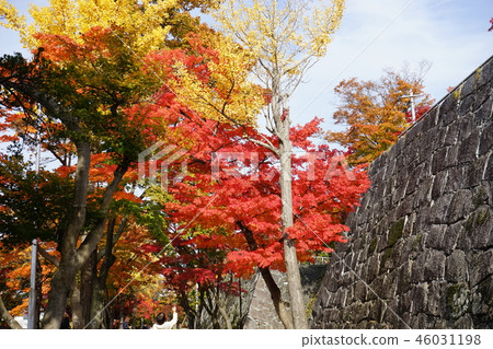 秋天盛岡城堡廢墟公園 秋天盛岡城堡廢墟公園 46031198