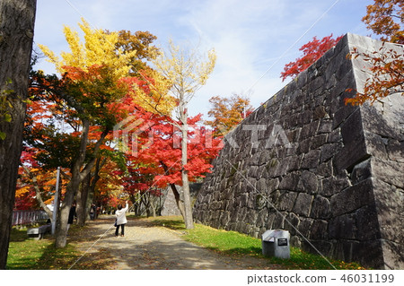 秋天盛岡城堡廢墟公園 秋天盛岡城堡廢墟公園 46031199