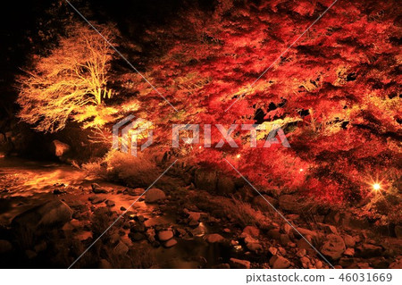 Autumn leaves of Okutsu River 46031669