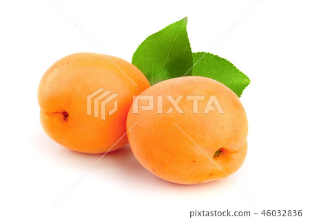 Apricot fruits with leaves isolated on white background macro Apricot fruits with leaves isolated on white background macro 46032836