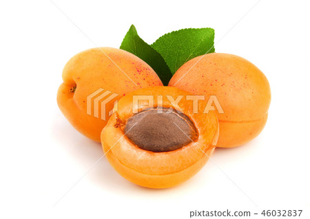 Apricot fruits with leaves isolated on white background macro Apricot fruits with leaves isolated on white background macro 46032837