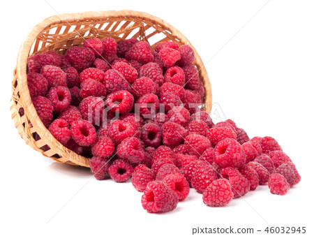 raspberries spilled from a wicker basket isolated 46032945