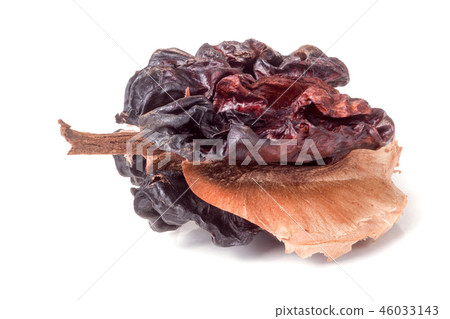 spoiled walnut isolated on a white background closeup spoiled walnut isolated on a white background closeup 46033143