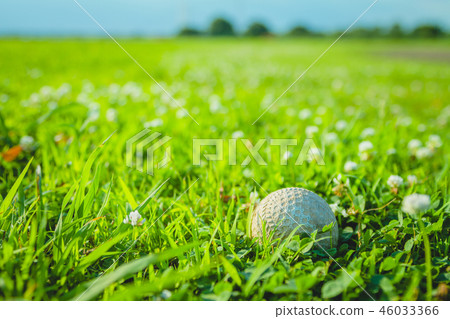 Baseball ball in the grass Baseball ball in the grass 46033366