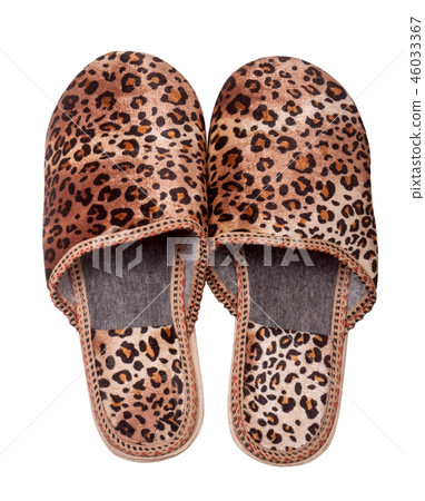 female domestic leopard slippers isolated on white background female domestic leopard slippers isolated on white background 46033367