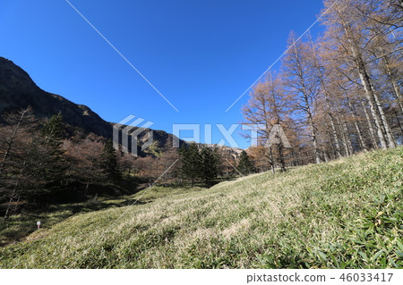 秋天的Asama山上色了葉子季節 秋天的Asama山上色了葉子季節 46033417