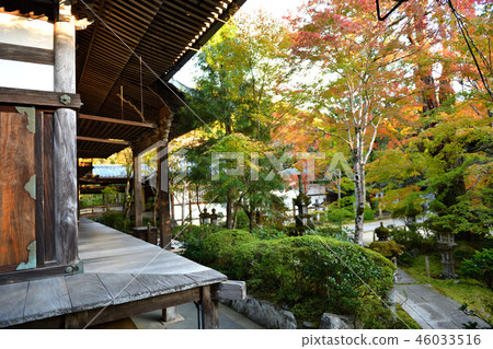 Saimyoji Kyoto 2018秋季 Saimyoji Kyoto 2018秋季 46033516