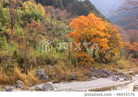 Autumn colored Okutama-Otake Valley (5) Autumn colored Okutama-Otake Valley (5) 46033570
