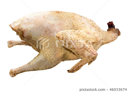 raw turkey carcass isolated on a white background raw turkey carcass isolated on a white background 46033674