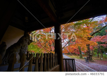 Toshoji寺廟,松戶市,千葉縣的秋葉 Toshoji寺廟,松戶市,千葉縣的秋葉 46033791